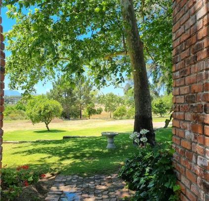 Mon Reve Estate Accommodation cottages - garden