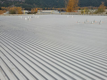 20231109_120319 (1).jpg