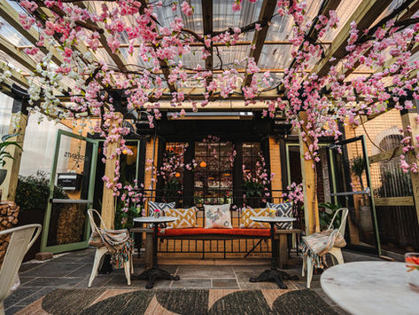 HOW TO CELEBRATE THE CHERRY BLOSSOM SEASON IN WASHINGTON DC