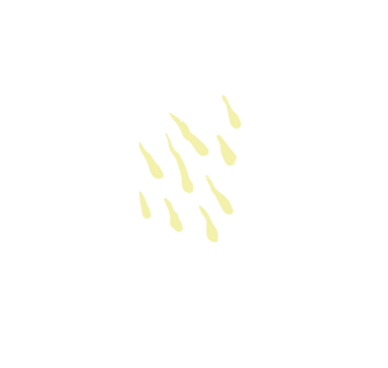 Elementos ama-06_edited.png