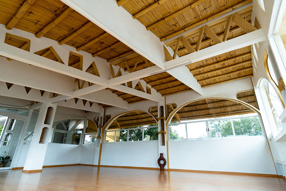 Salon grande 1
