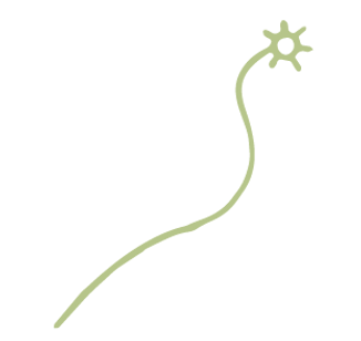 Elementos pau craiturasvereded-10.png
