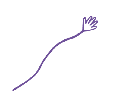 Elementos pau craiturasmorad-05.png