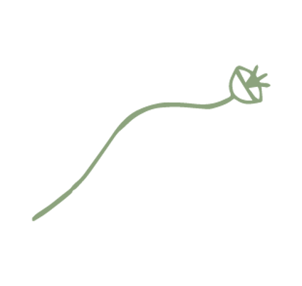 Elementos pau craiturasverde-04.png