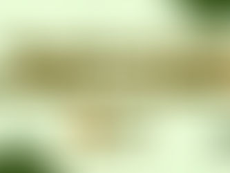 1º Simpósio da Rede Brasileira de Epífitas (EPI-BR)