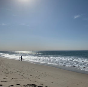 Do I Dare Disturb The Universe?