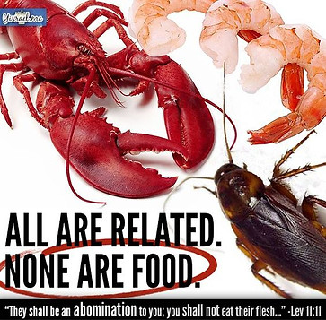 Truth Yahweh Chose The #Israelites4EverLineage Only $20k #ProveMeWrong