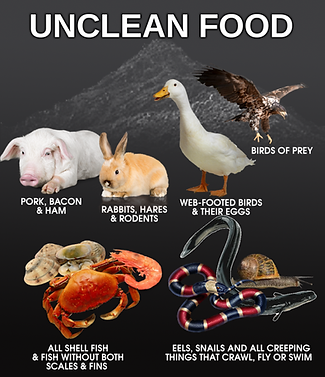 Truth Yahweh Chose The #Israelites4EverLineage Only $20k #ProveMeWrong