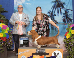 Louie Champion Pic001