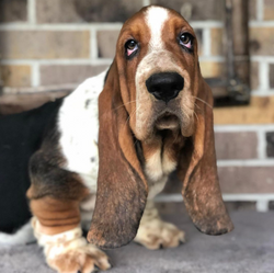 Screen Shot 2021-10-25 at 3.42.59 PM