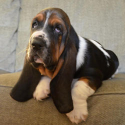 16998922_10210548992273724_4603436323898143451_n