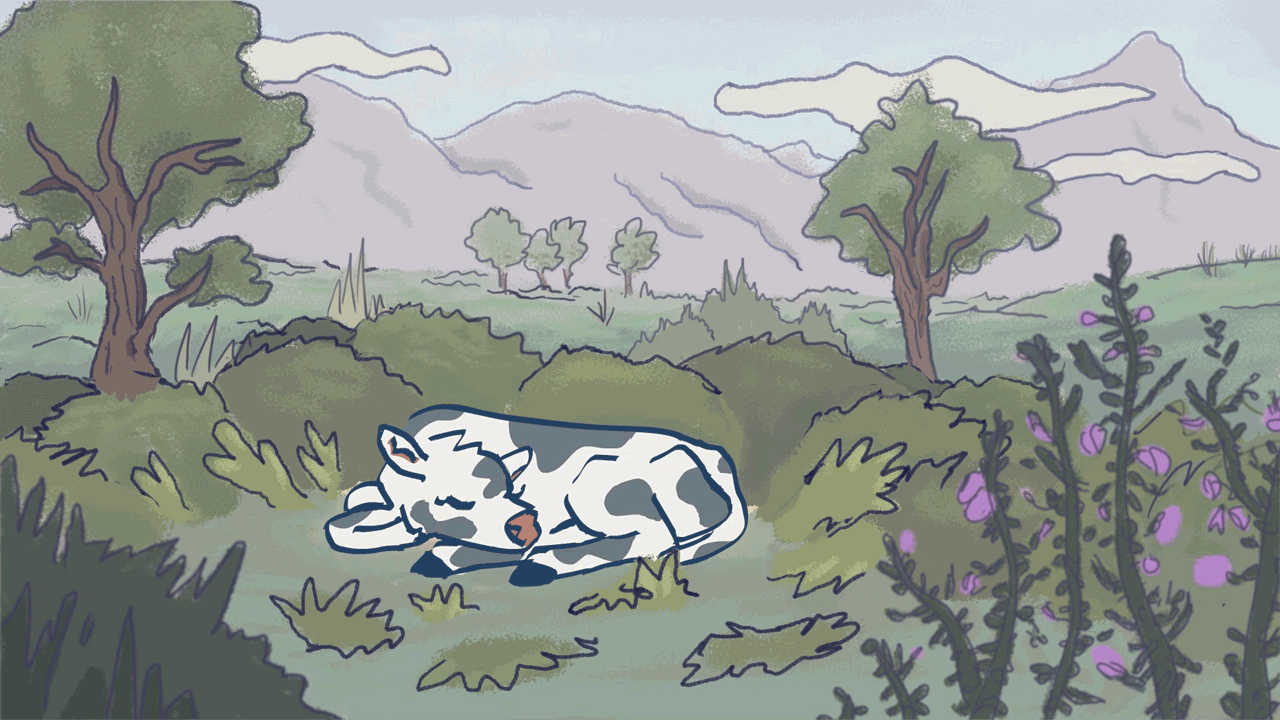 Sleepy-Cow_Website-GIF_v.03.gif