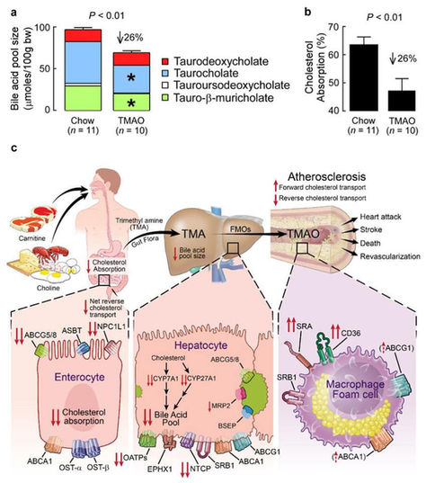 ATTENZIONE A NON ESAGERARE CON CARNE, UOVA, LATTICINI E CROSTACEI!
