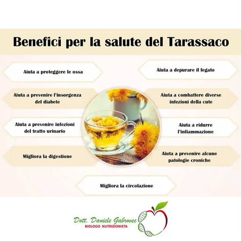 INFOGRAFICA: Benefici per la salute del tarassaco