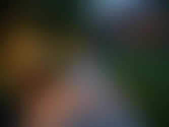 Creating Stunning Landscape Lighting Design Ideas