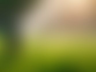 Watch Me Grow Carmel Explained: Residential Irrigation Maintenance