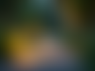 Essential Landscape Lighting Maintenance Tips for Your Property