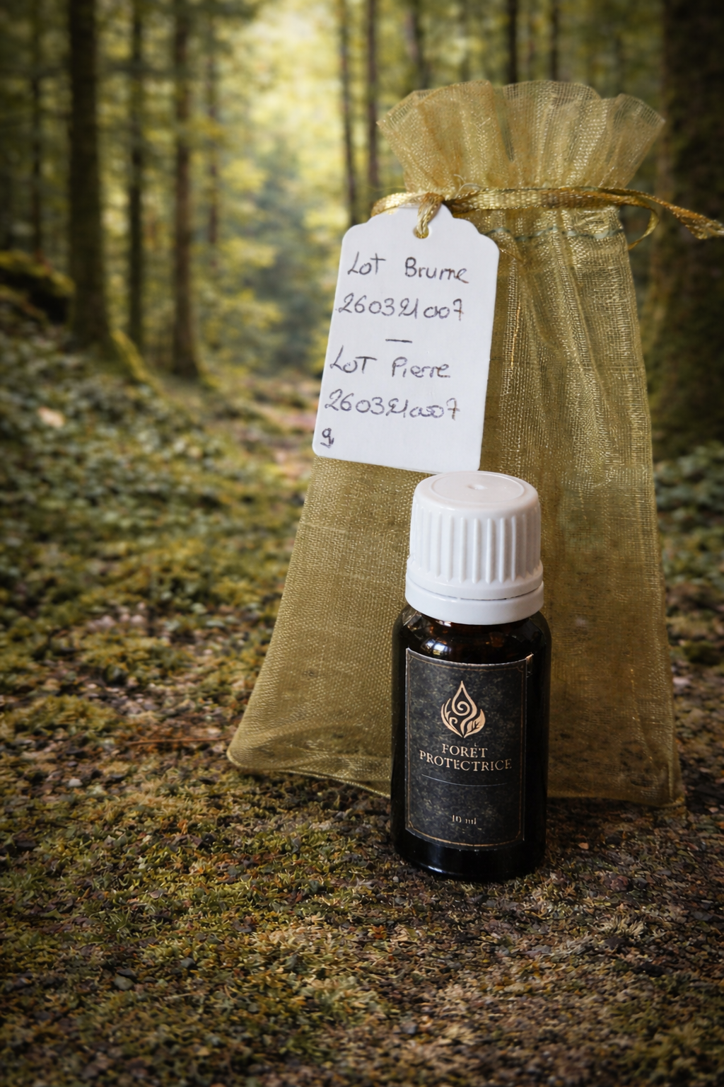 Recharge concentrée – Forêt Protectrice