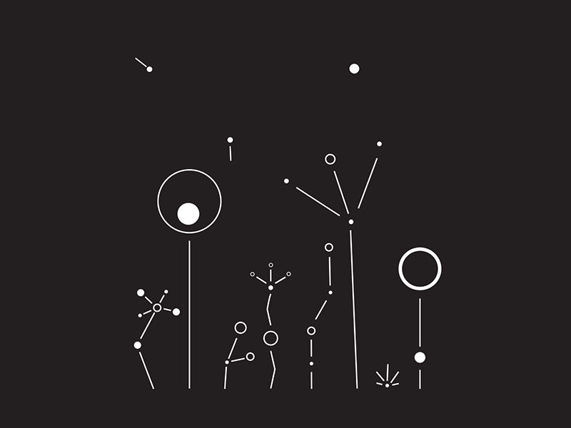 b38e04064abc6383361e46252373b5e9.gif