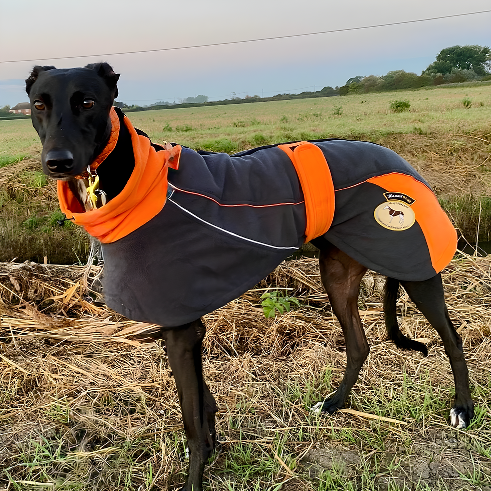 Thumbnail: Fleece Housecoat (Greyhound Sizing)
