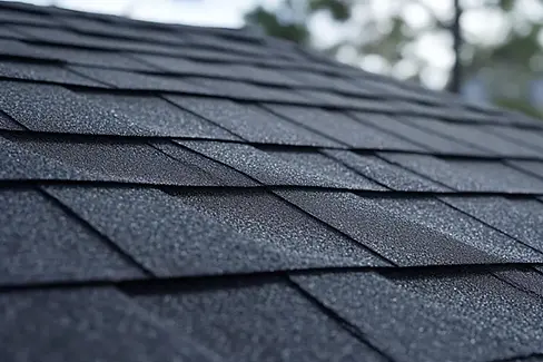 Best-Asphalt-Shingles.jpg.webp