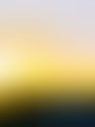 Happy Holidays friends