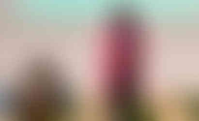 Dr. S Gata of ZESA Holdings visits Sweden.