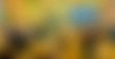 Decarbonizing Cement At Norrsken House, Stockholm