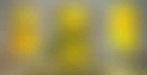 Nordic Impact Week Silicon Valley 2025 Launches at Nordic Innovation House in Palo Alto, California.