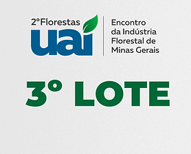 LOTES_3LOTE.png