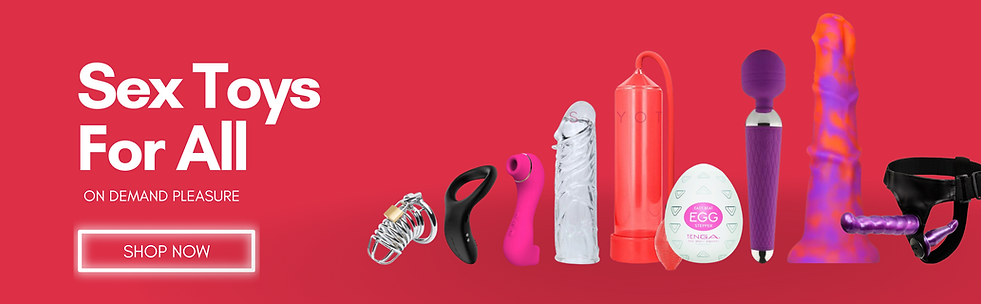 Lingerie WEB BANNER good (1).png