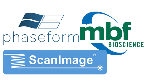 DPP integration with ScanImage