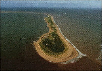 spurn.jpg