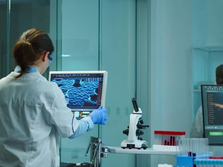 Why Do Hospital And HealthCare Businesses Need A Fully Functioning WordPress Website?