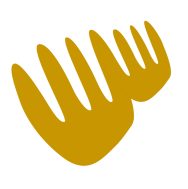 7.png
