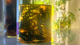 Infusing Cocktail