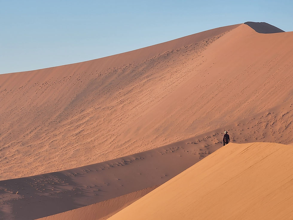 Exploring the dunes of Namibia - February 2025