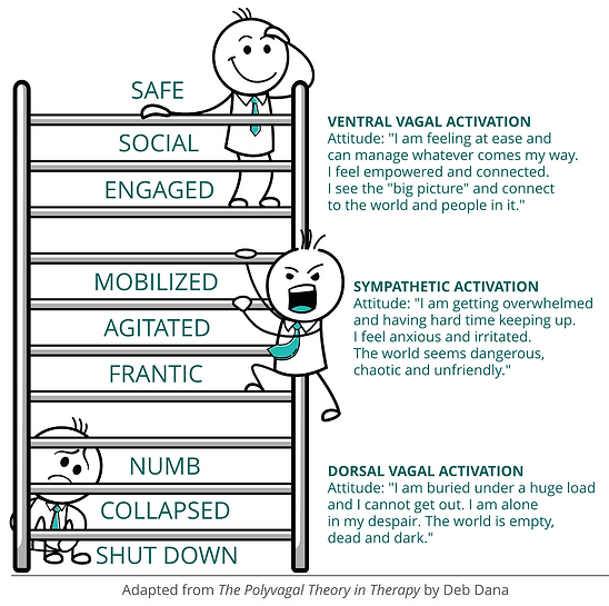 Polyvagal ladder.png