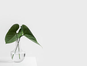 Staying Centred: A Key to Personal and Professional Flourishing