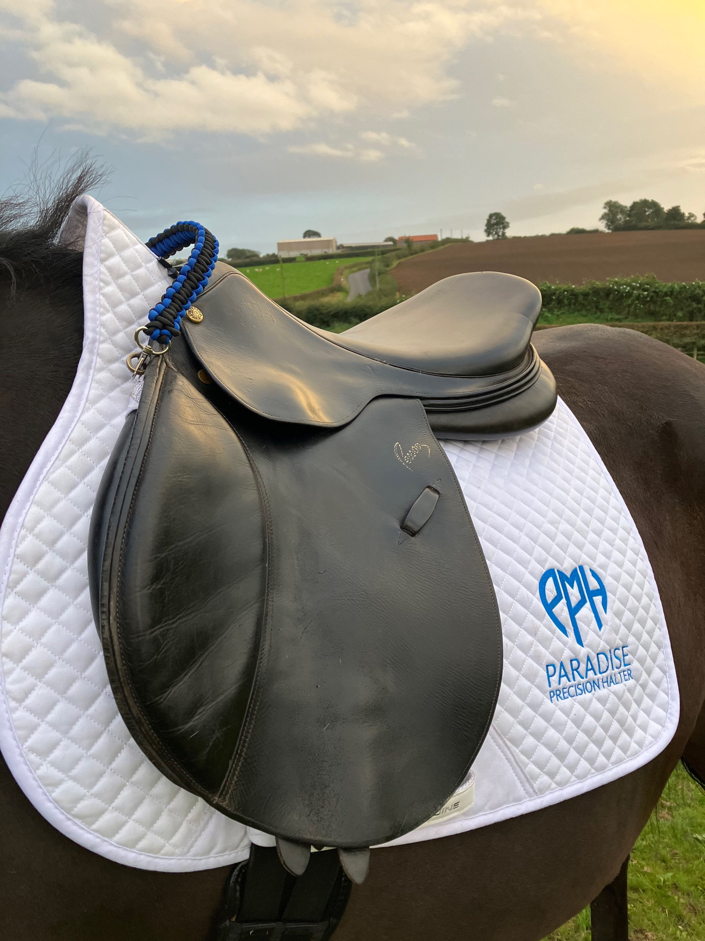 Paradise Position Holder