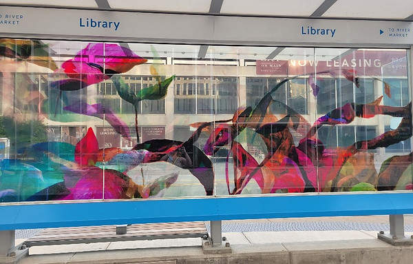 Artwork featuring branches and leaves printed on clear vinyl and installed on the glass of a bus stop shelter.