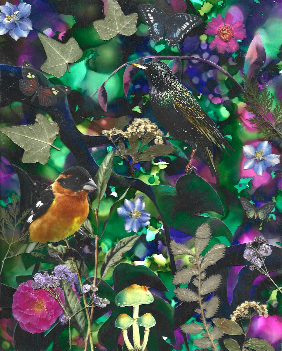 A mixed media collage featuring birds and butterflies against a purple and green background.