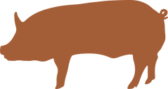 Flying Wagon Farm_Color pig.png