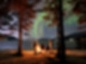 Northern lights tour Narvik