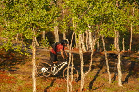 Mountain Biking Narvik