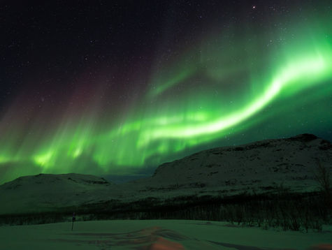 Join us for an immersive Northern Lights Evening tour, with expert guidance on aurora photography