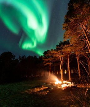Join us for a Northern Lights Evening tour, where you'll learn to find and photograph the auroras
