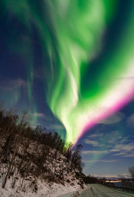Learn to capture stunning images of the Northern Lights on our guided evening tour