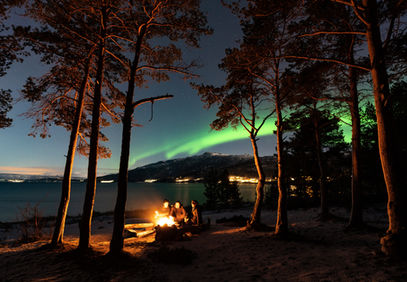Join our Northern Lights Evening tour for an immersive experience in aurora spotting and photography