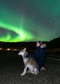 Capture the mesmerizing dance of the Northern Lights with our guided evening tour